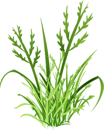 KBK_PrettyRabbit (67)