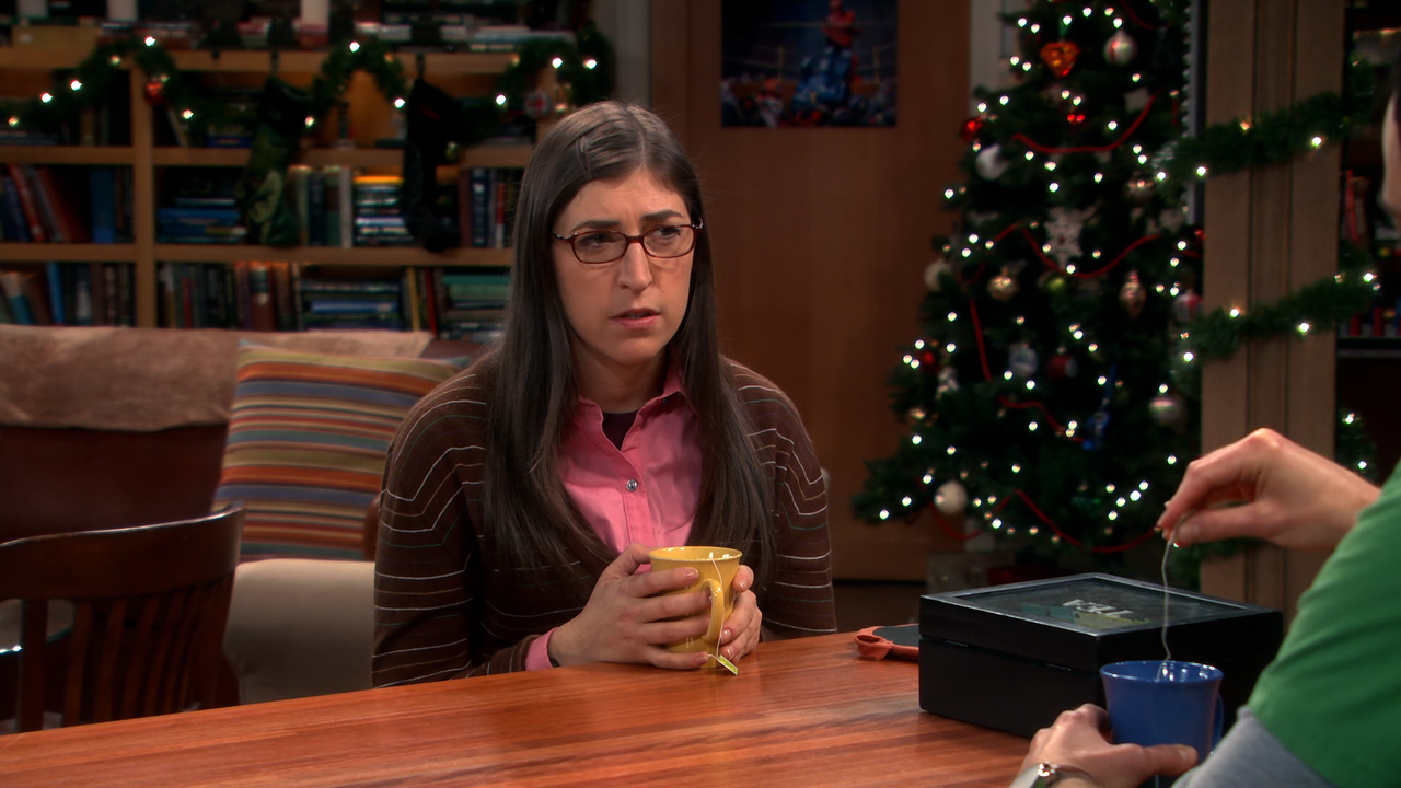 The.Big.Bang.Theory.S06E11.The.Santa.Simulation.1080p.10bit.BluRay.AAC5.1.HEVC-Vyndros.mkv_snapshot_