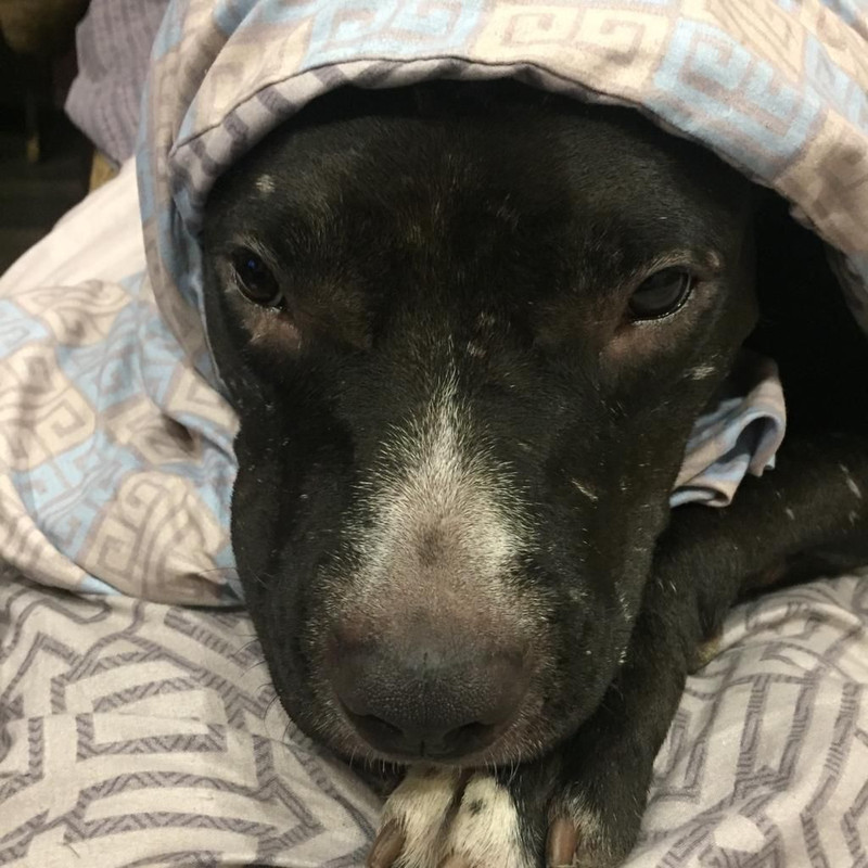 04E4A780-62A1-4B8E-9A9B-44BB04575575