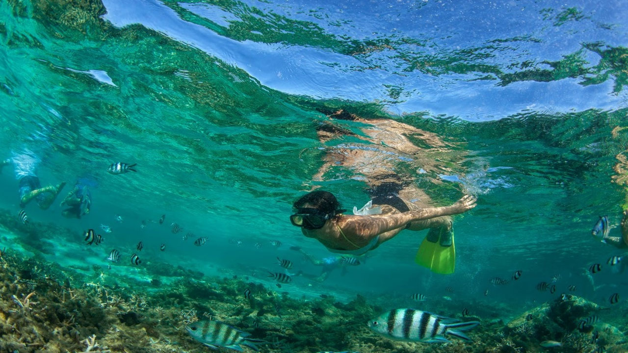 Keajaiban Bawah Laut dan Snorkeling