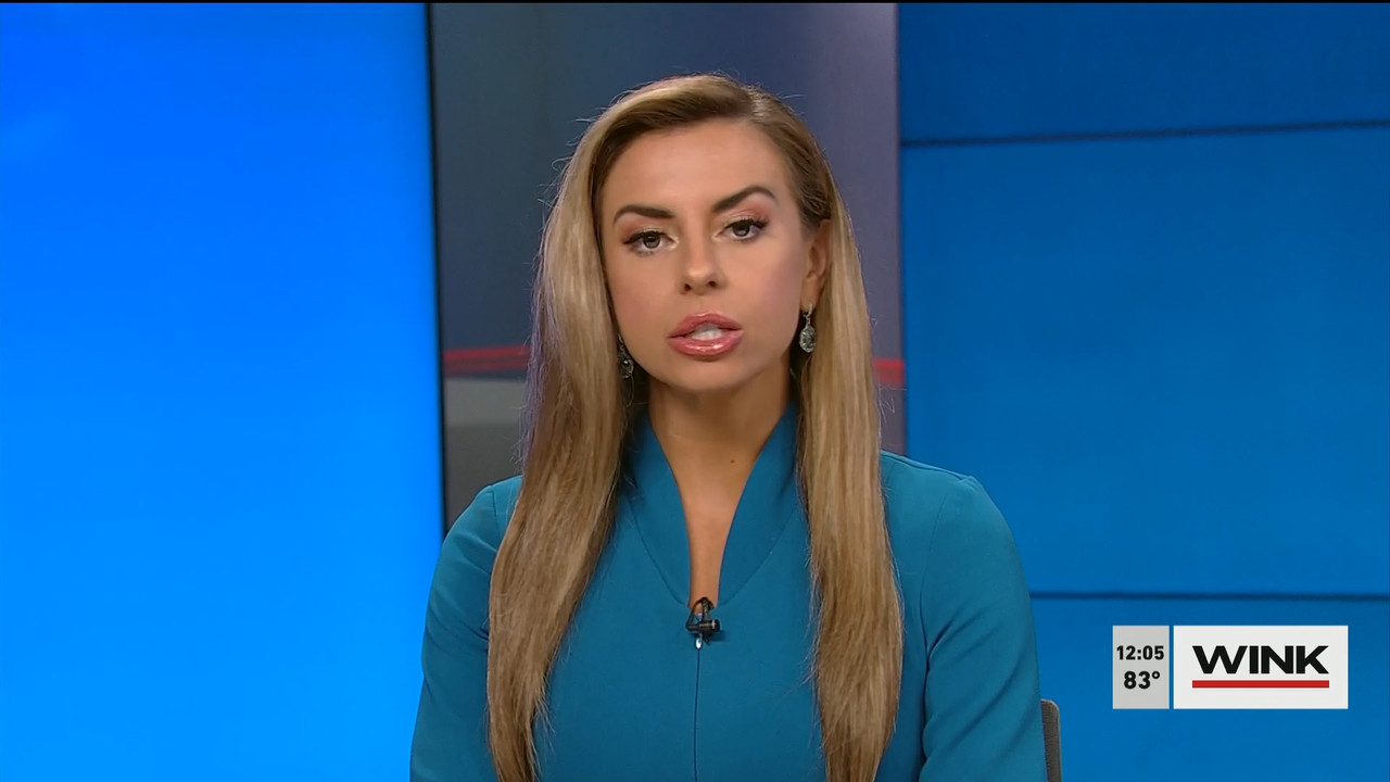 04.14 - 17.00.00 - The WINK Noon News  ᴺᵉʷ. Midday news update..ts_snapshot_11.41.569