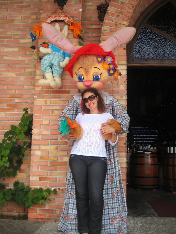 Curitiba-8-3-210 - Brasil y sus pueblos-2010 (4)