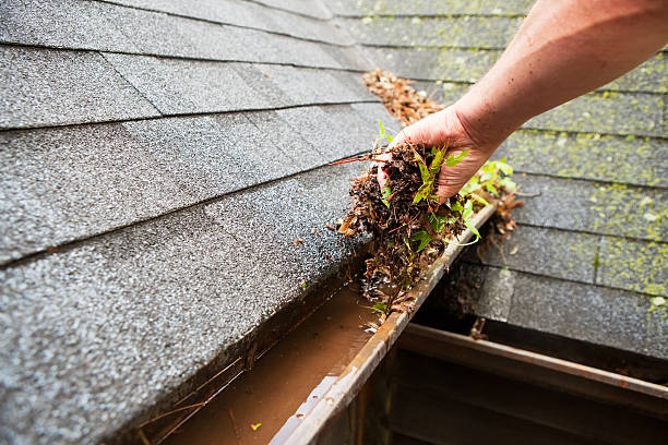 Here's Why You Should Hire Gutter Cleaners