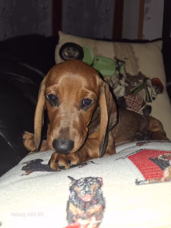 [Image: 20240930-174321.avif]