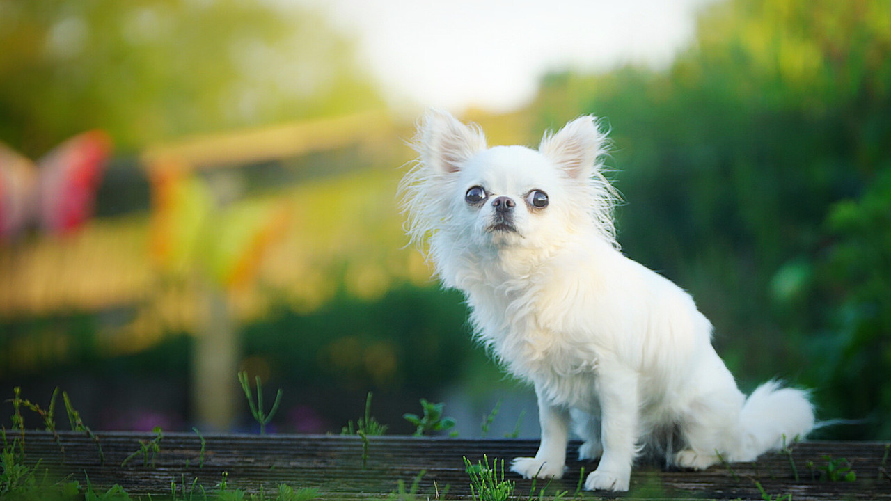 Lumii_20210529_212548974