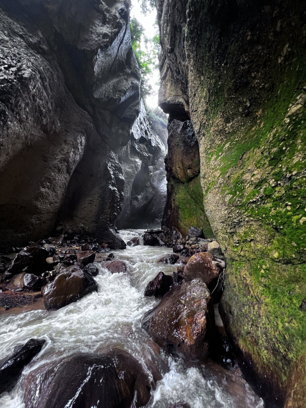 2024-10-15 09-25-24 (1)