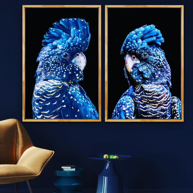 Two Piece Australian Black Cockatoo On Black Canvas Wall Art Prints Artwork Ebay