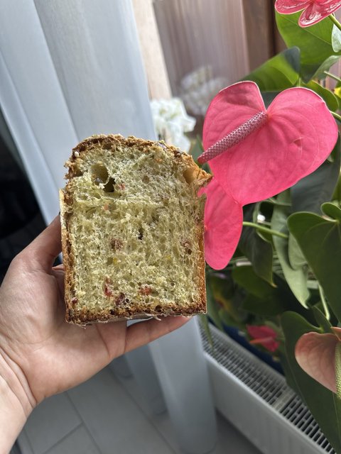 изображение_viber_2025-04-18_17-35-40-745