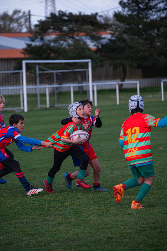 tournoi-de-latlantique-2026-adonis-griffon-158-55181455513-l