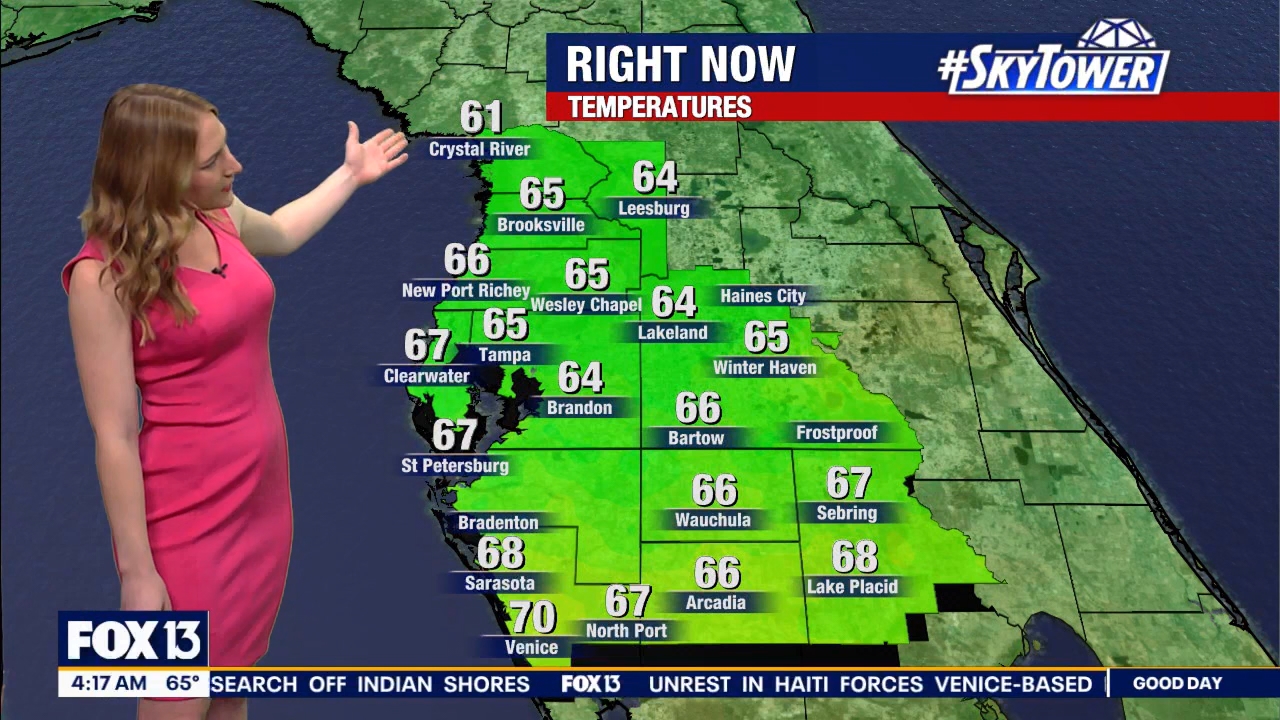 FOX13s Good Day Tampa Bay at 400am_20240307_09000930.ts_snapshot_18.30.913