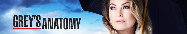 Greys Anatomy S18E05 720p HEVC x265-MeGusta