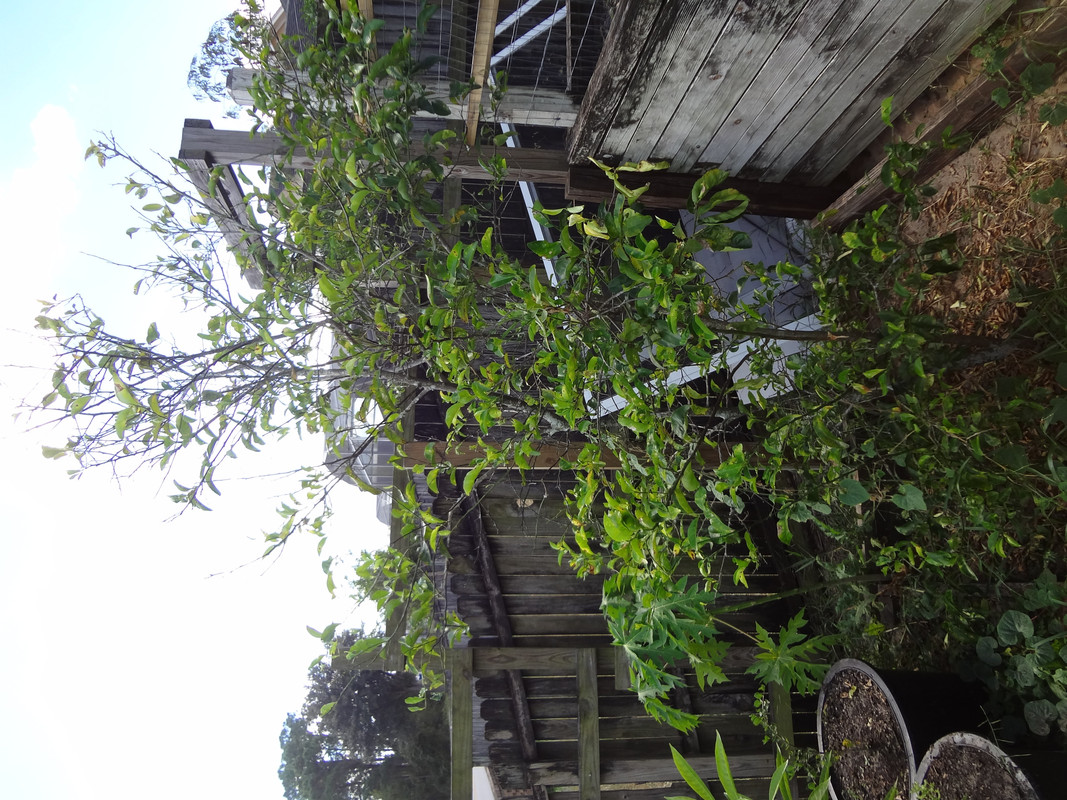DSC02629