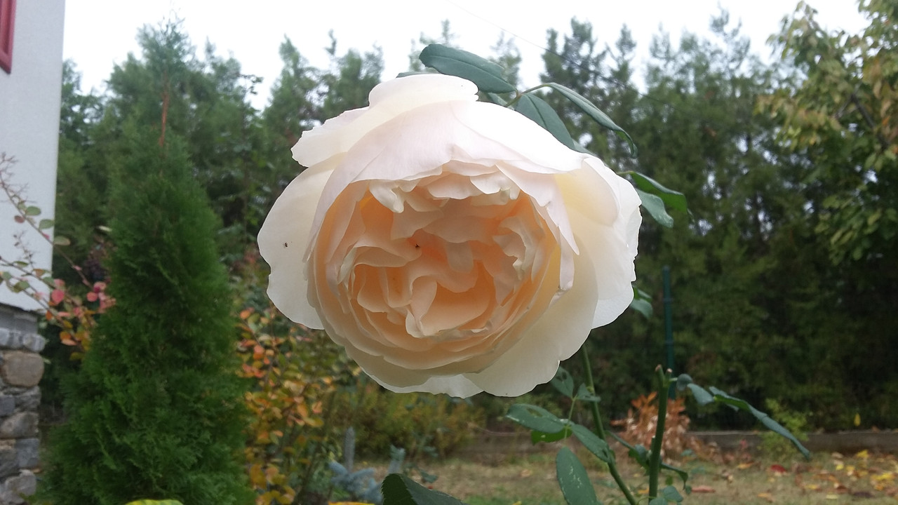 20191102_103315