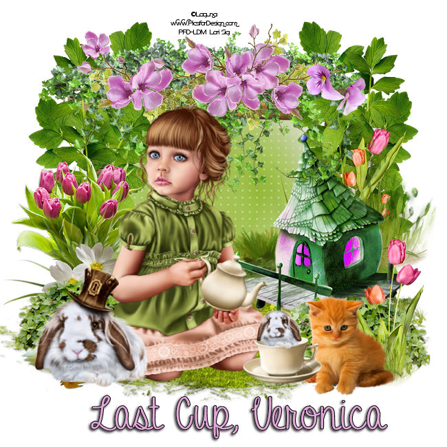 6382253805415415129861102