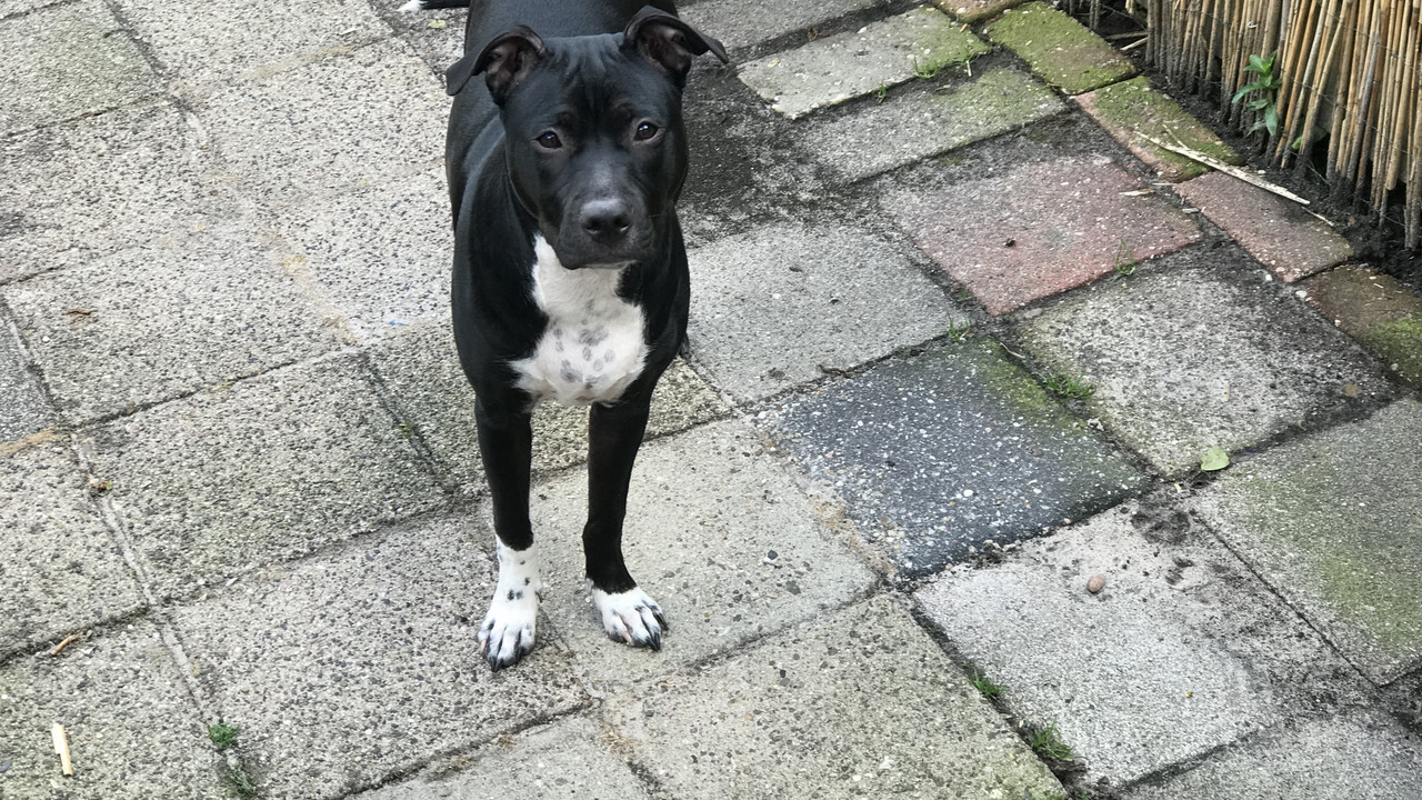 7E8E3D77-2339-4FCD-BE35-AB9BB69CBC49