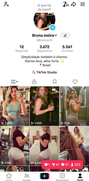Print do meu perfil TikTok