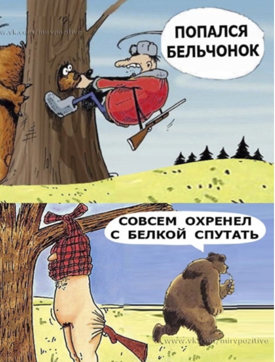 IY2-zdgxw4w