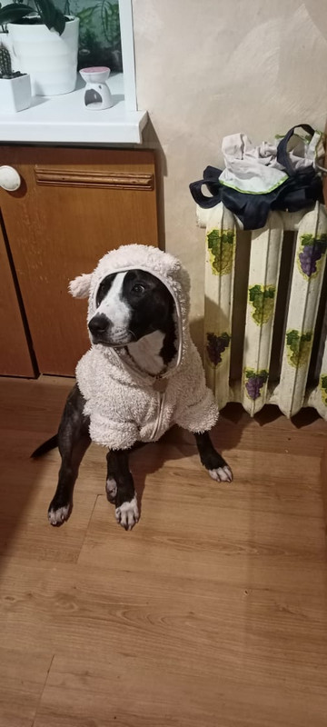 F223A7F4-6E3D-469E-832F-582A3F33BB39