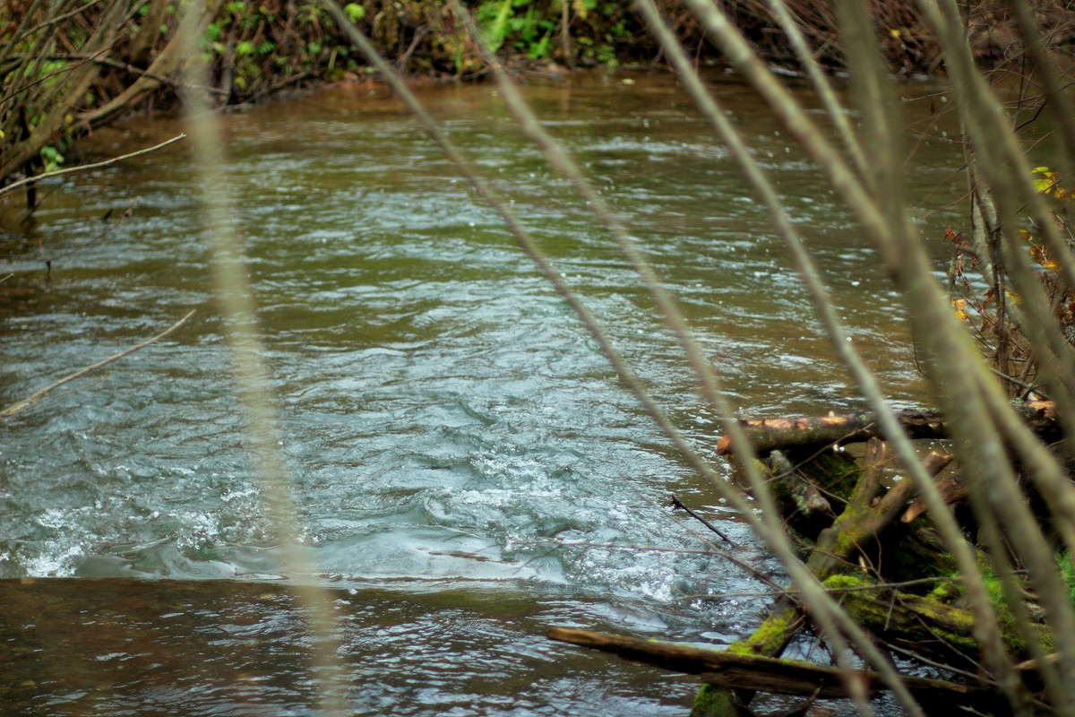 IMG_6635 (2592 x 1728)