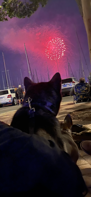 B75E3272-8E2B-4347-B31A-DBB2CD1C54C1