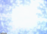 QLFinale.gif