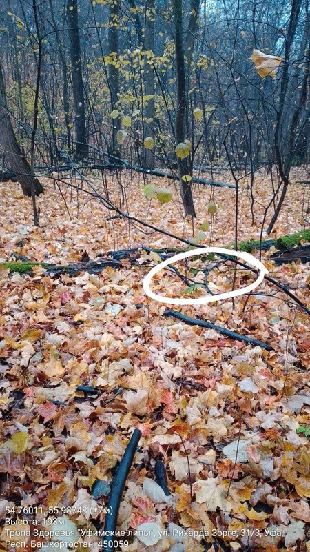 IMG_20251014_114446_312