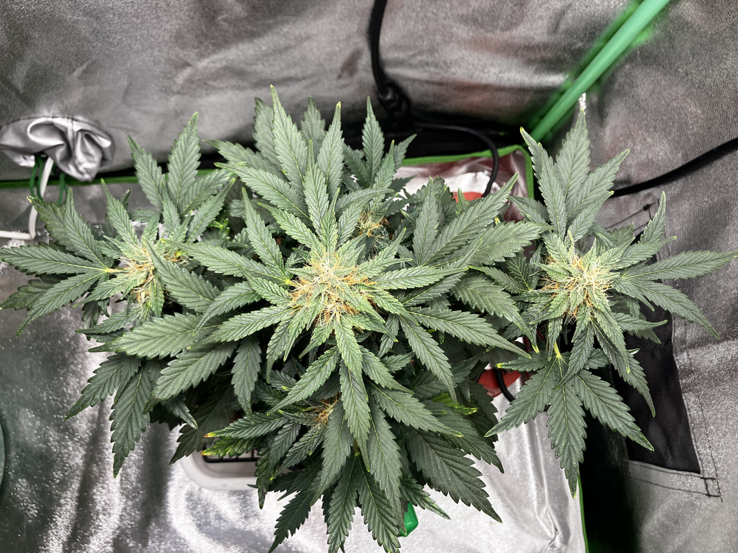 2D058711-A1FA-4395-8497-2435C3DD3615