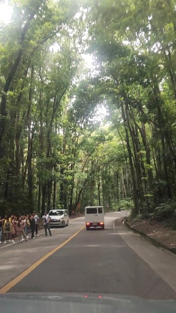 --DÍA 13 (23 junio): Bohol (Tarseros, Chocolate Hills, Tirolina y Napaling) - Un mes por Filipinas y Tailandia con niñas (2025) (4)