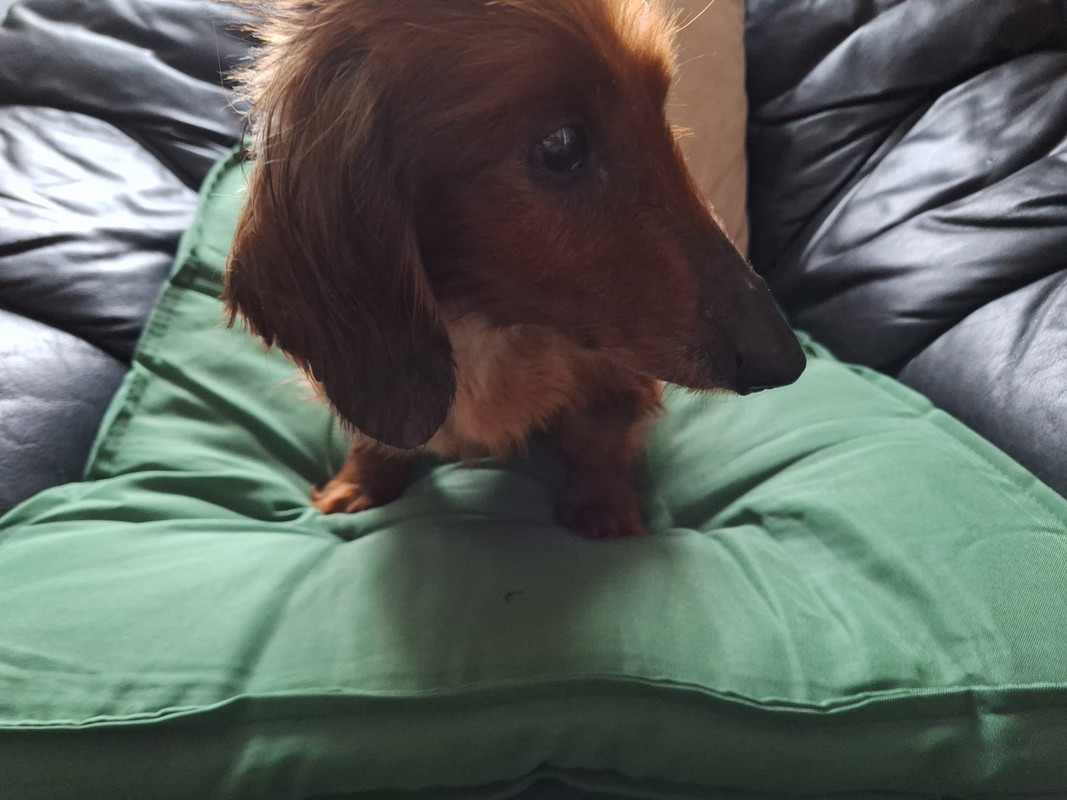 [Image: 20240403-191053.jpg]