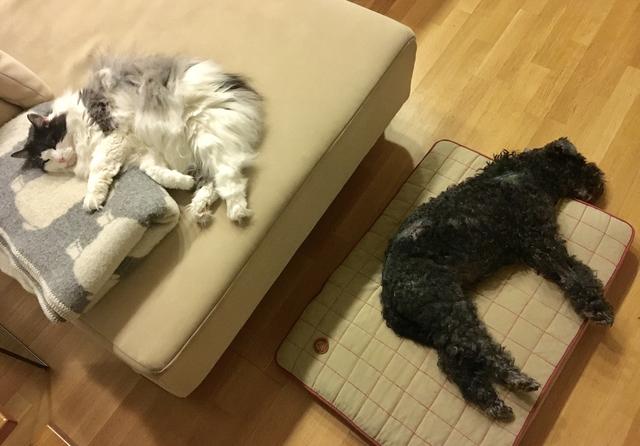 55-E6-C744-1-AF0-46-C8-9-E5-F-0-E698-E1-