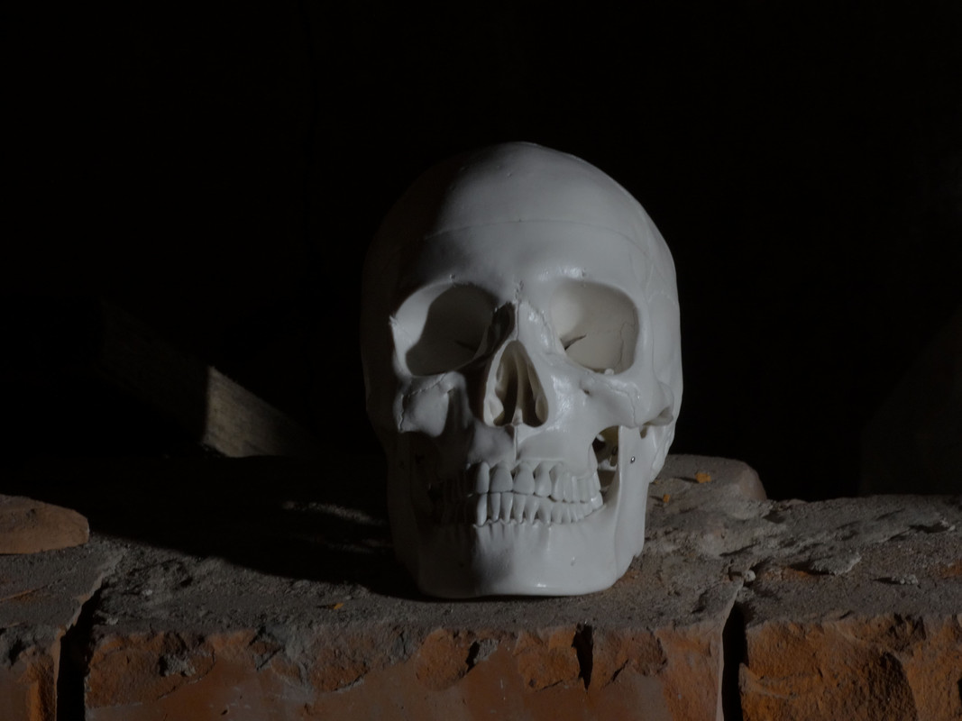 03.11 - DSC06212 (Czesio1)