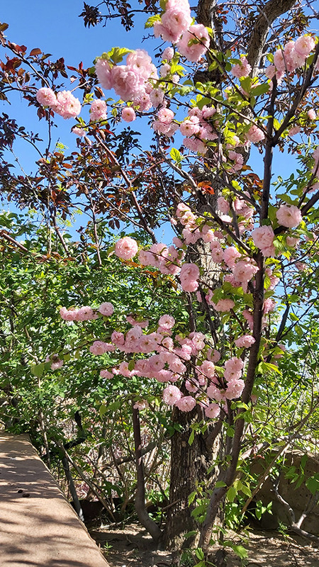 [Image: 20220514-164812.jpg]