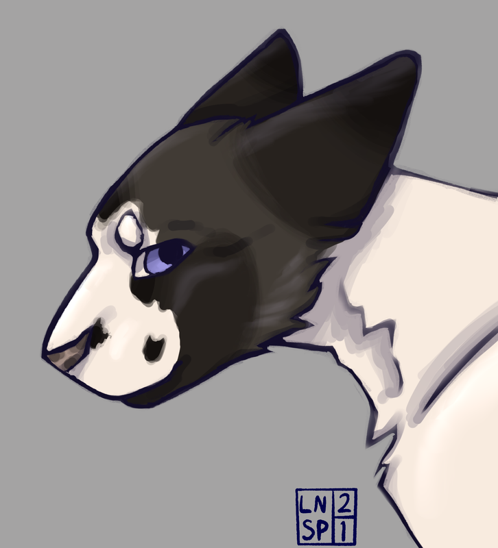 Bleh