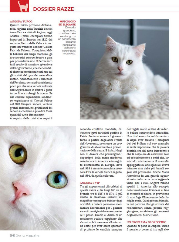 Ga Ma Apr-Mag 2023 (8)