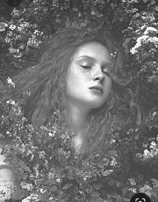 Screenshot_20231220_150205_Pinterest