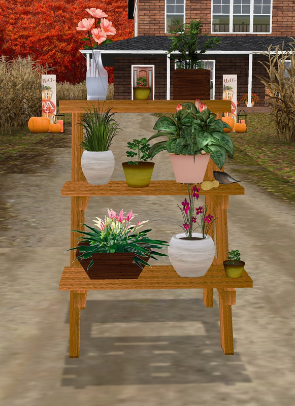 Indoor-Plant-Stans