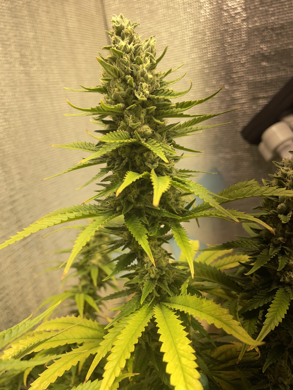 görsel 2026 03 05 181653583