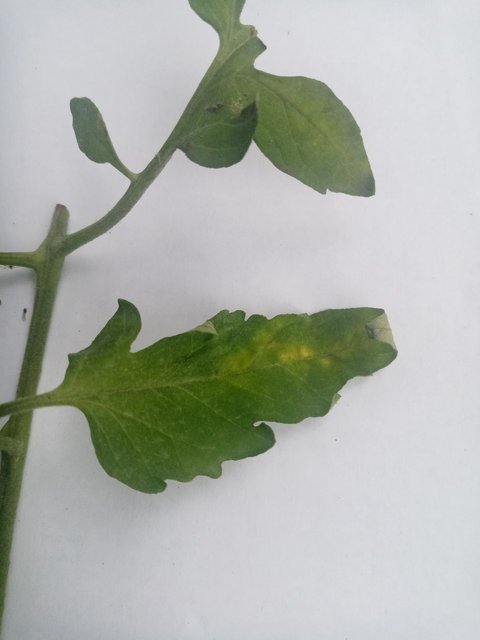 photo_2023-06-17_23-11-16 (2)