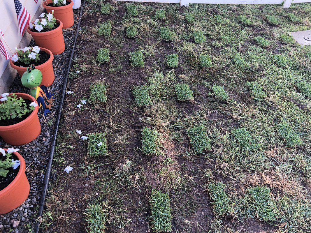 5FB625A9-63B8-4B2F-9904-ABE4B526FAB6