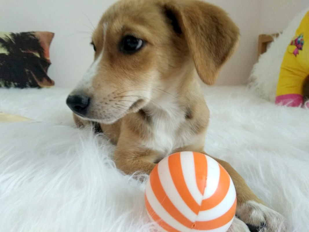 изображение_viber_2019-09-15_17-35-50