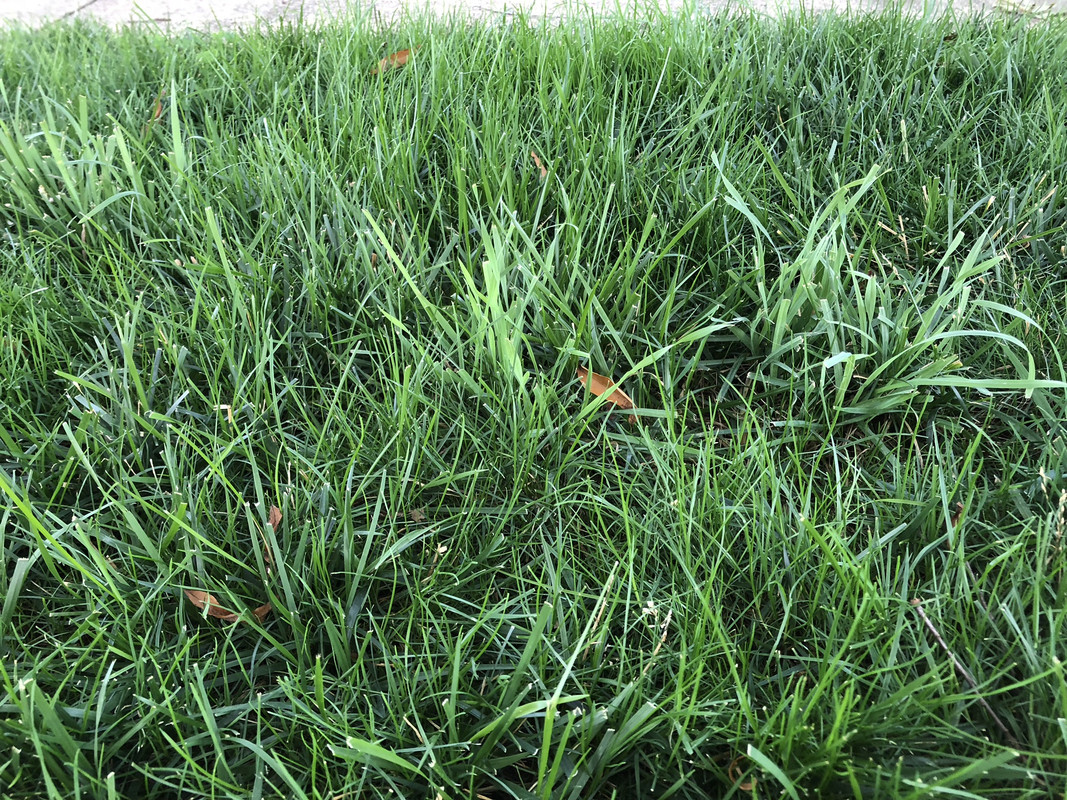 FF1EF8E5-448D-49E4-97AB-3A99900652FC