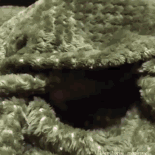 bunny-rabbit.gif