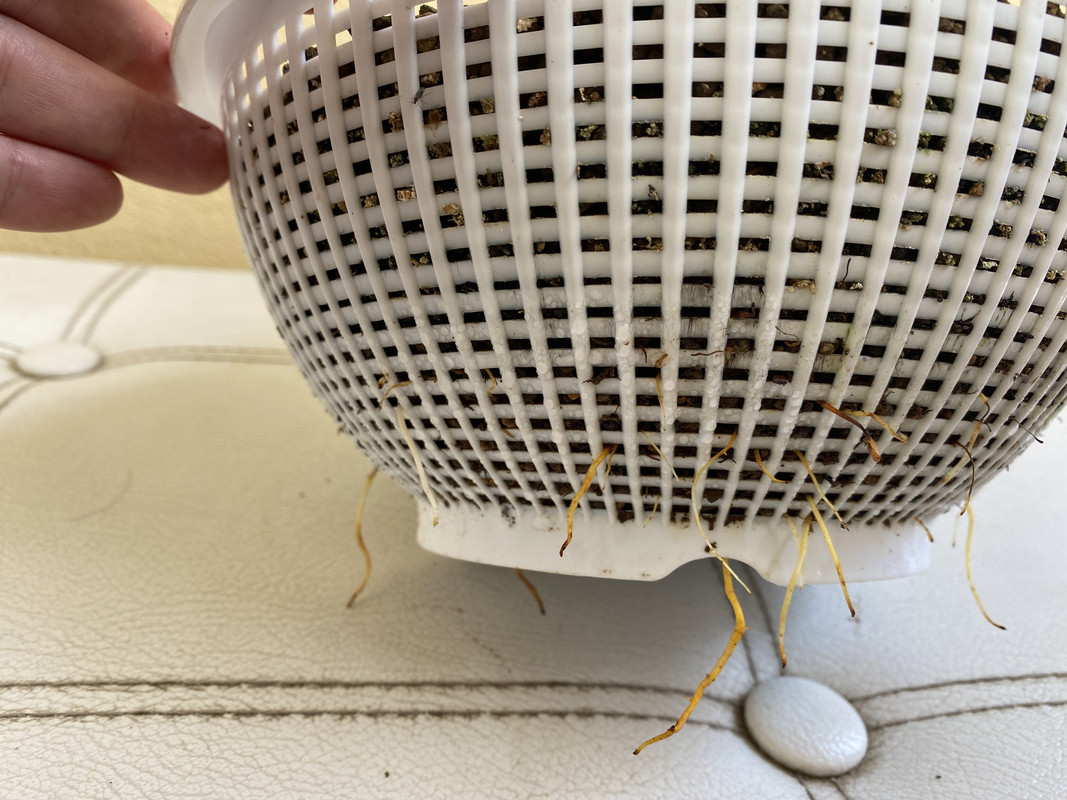 AFEFCB0C-8D1C-4F6A-BF26-70AE65043C7D