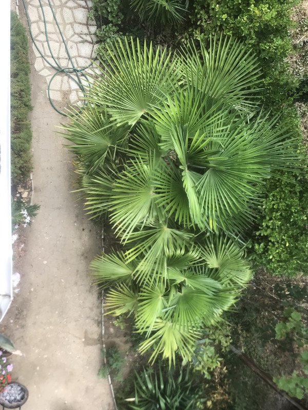 1548E629-1961-49F5-B801-141C8C6DF801