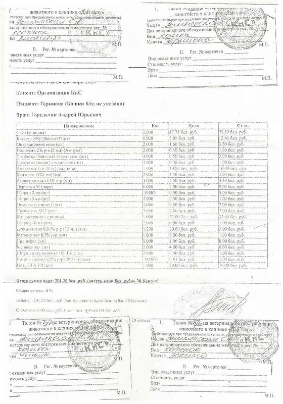 Дай лапу октябрь_Страница_2