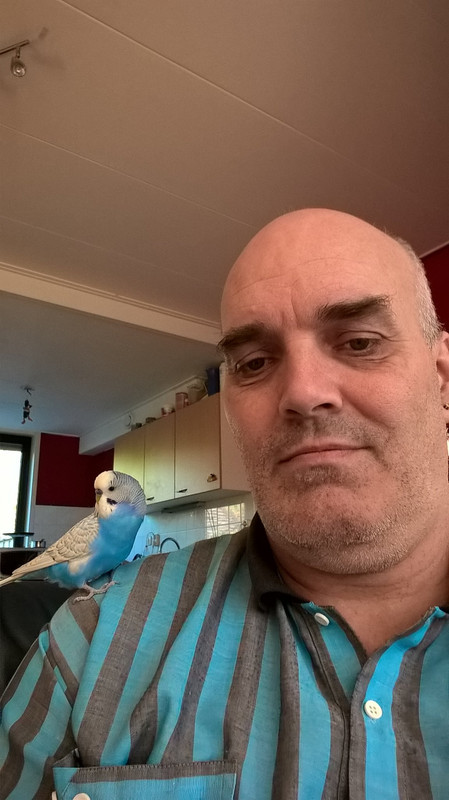 14468386_10211020745263271_7221226665129904774_o