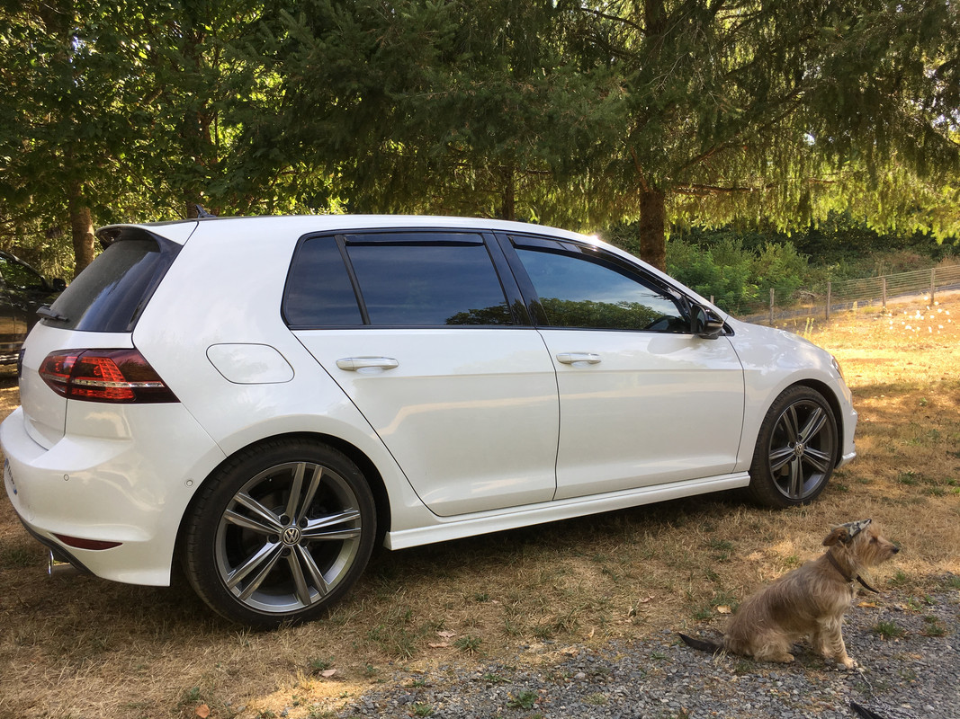 D469BC7B-0F49-41E0-8903-35C9CDAB3E21