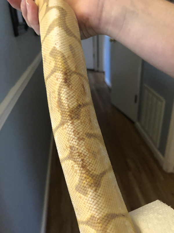 173F0881-380B-4E54-93C7-DD01C549CE2D