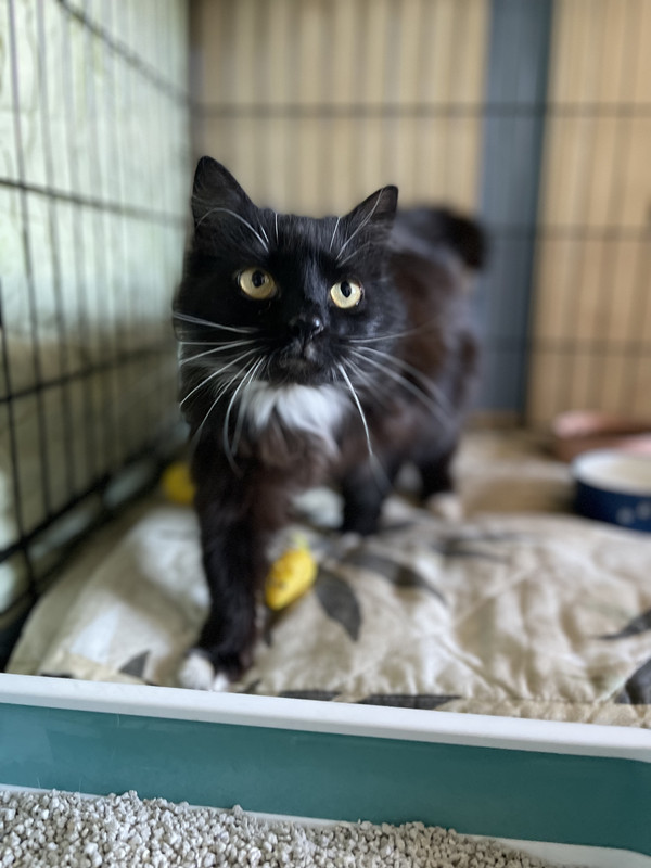 2F89DB76-32C0-42AA-961A-8CAC3C503617