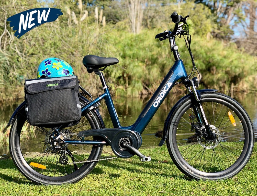 womans electric bike